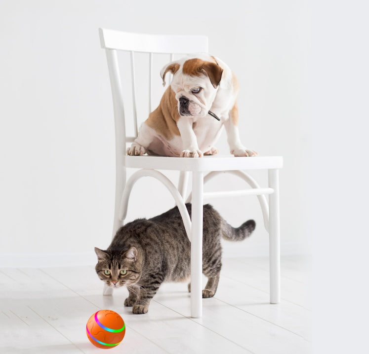 Automatischer Spielball für Hunde und Katzen
