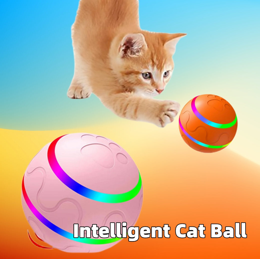 Automatischer Spielball für Hunde und Katzen
